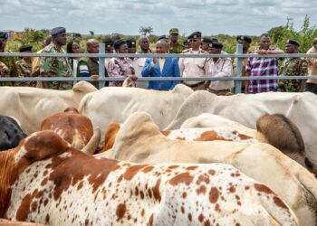 Kenya: Govt sustains war on banditry through Interior Ministry