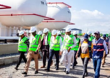 Parliamentary Committee explores National Petroleum Authority’s operations