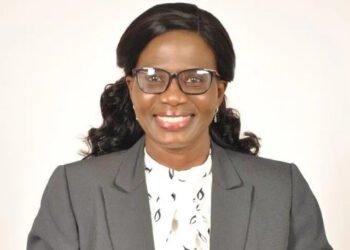 Botswana: Connectivity issues temporarily shut down BURS borders in Kgalagadi Region