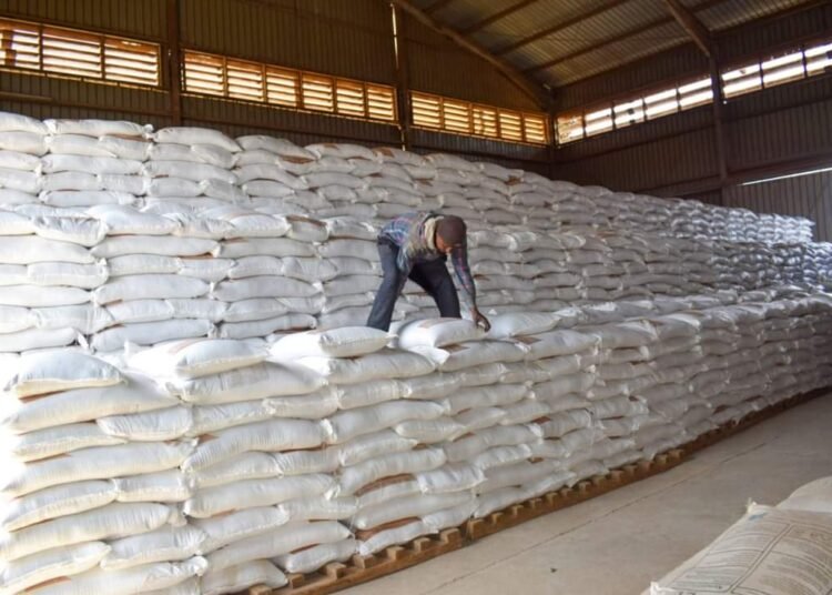 Kenya: Nakuru County emerges second biggest beneficiary of the subsidized fertilizer program
