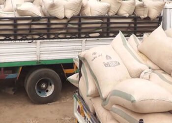 Kenya: Katsina govt purchase N10bn grains for 2.1m residents: Ramadan