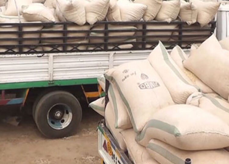 Kenya: Katsina govt purchase N10bn grains for 2.1m residents: Ramadan