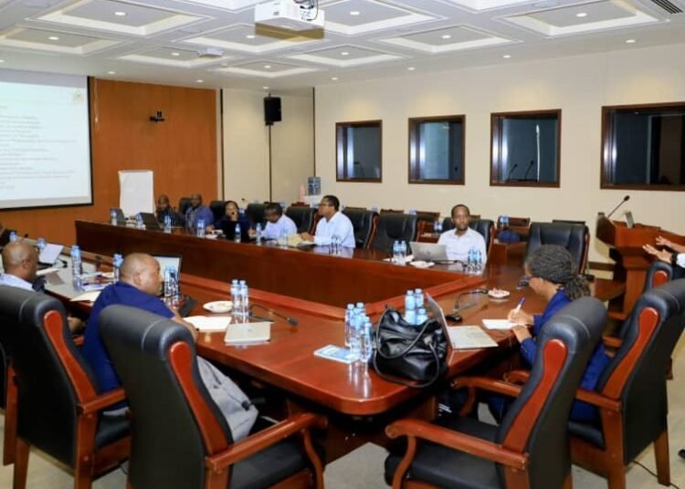 Tanzania: Ministry of Information embarks on capacity building project