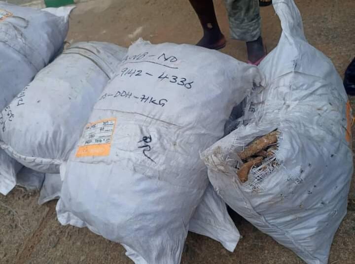 Nigeria: Customs MMAC surpasses revenue by 111.7%, intercepts donkey genitals, others worth N5.7B