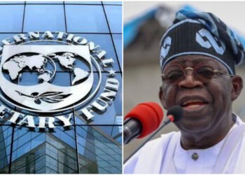 President Tinubu Navigates IMF Advice On Petrol, Power Subsidies, Amidst Experts Outburst