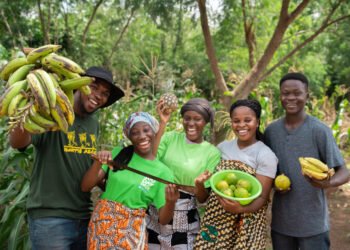 Ghanaian and Senegalese entrepreneurs to benefit from AfDB Youth Entrepreneurship and Innovation Multi-Donor Trust Fund