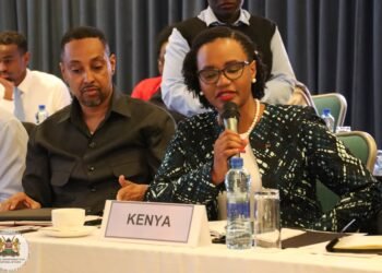 Kenya: PS Njogu calls for collective approach in harnessing full potential of EAC’s Diaspora