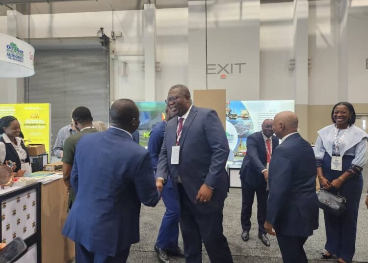 Ghana: GNPC, Petroleum Commission explore partnerships and investments at OTC 2024
