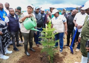 Kenya: Machakos White House goes green on National Tree Planting Day