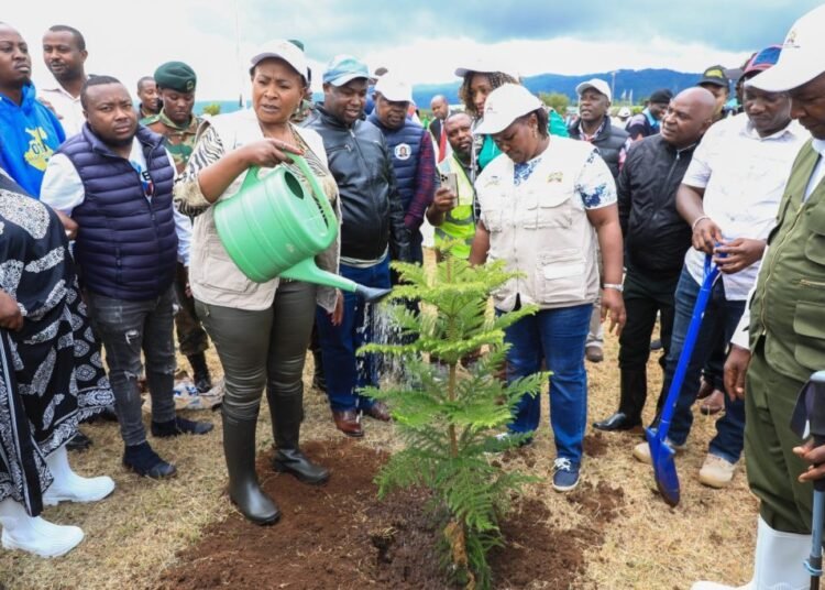Kenya: Machakos White House goes green on National Tree Planting Day