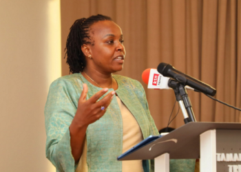 Kenya: Stronger data governance to drive digital economy – ODPC