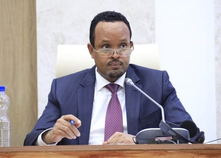 Ethiopia to Introduce New Tax Reforms to Power Its Near Trillion-Birr Budget
