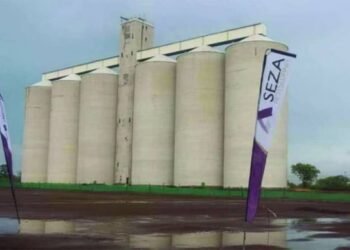 Botswana modernizes agriculture with launch of Panda Silos