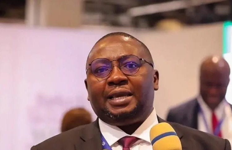 Nigeria: FG invests $800m into power sector