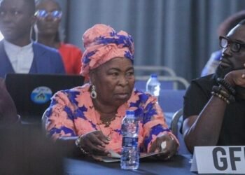 Ghana: EC suspends printing of ballot papers following Akua Donkor’s death – 2024 Election