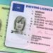 UK to Launch Digital Driving Licences in 2024, Aiming to Transform Public Services