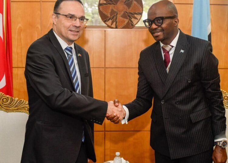 Botswana, Türkiye aim for stronger ties