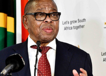 South Africa: Nzimande inaugurates NSI to tackle economic crisis