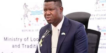 Botswana:Local authorities to oversee primary health