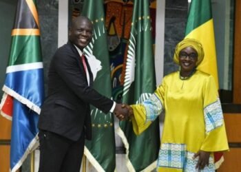 South Africa:Lamola lauds Senegal Ties