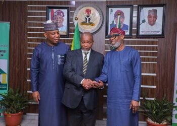 Nigeria, South Africa sign mining agreement deal