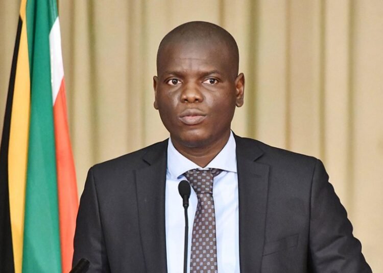 South Africa, Tanzania ink economic cooperation deal