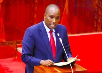 Tanzania: Ministry gets 19% budget increase to boost energy sector