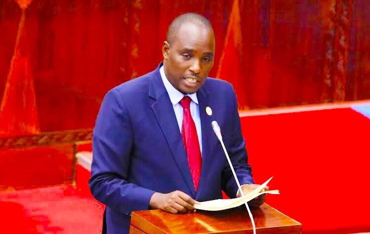 Tanzania: Ministry gets 19% budget increase to boost energy sector