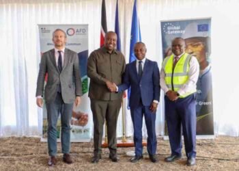 Kenya,France agrees on $92m power grid  boost