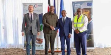 Kenya,France agrees on $92m power grid  boost