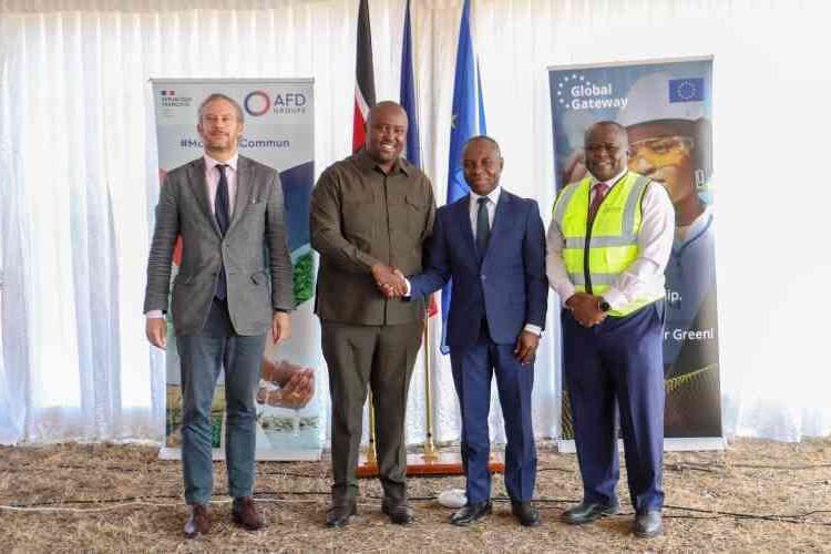 Kenya,France agrees on $92m power grid  boost