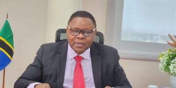 Tanzania seeks private investment for electricity transmission boost