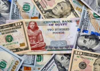 Africa: Nigeria, Egypt Top $95 Billion Remittance Surge, Unlocking New Investment Frontiers