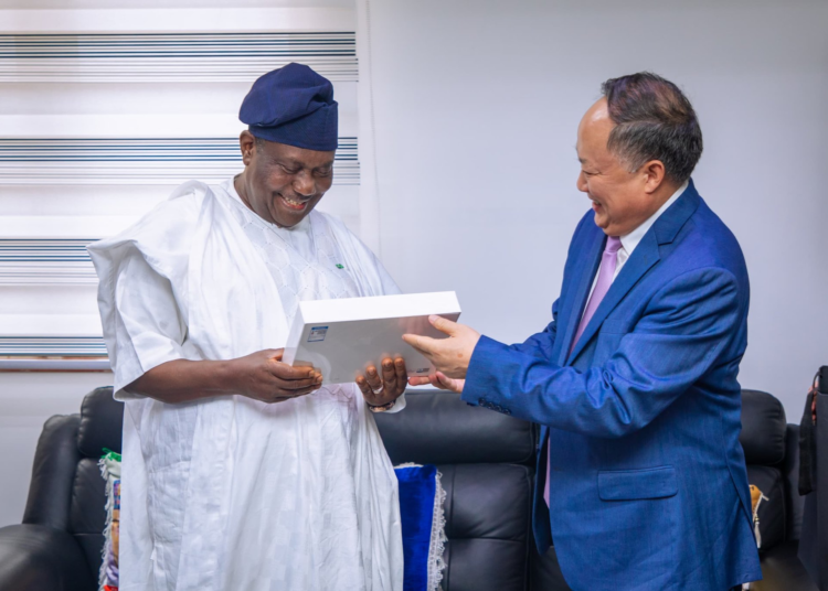 Nigeria:FG, China to build 4,000km high-speed rail network