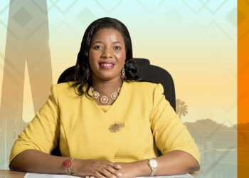 Zimbabwe: seeks to balance trade with india amid growing ties