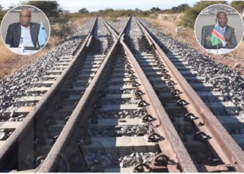 Botswana, Namibia Reaffirm Commitment to Trans-Kalahari Railway Project