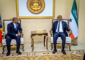 Ethiopia Appoints New Ambassador to Somalia After Nearly a Year of Diplomatic Rift