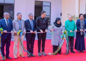 Tanzania launches TANIPAC to combat aflatoxin and safeguard food security 