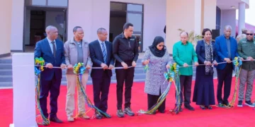 Tanzania launches TANIPAC to combat aflatoxin and safeguard food security 