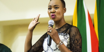 South Africa: small business department reminds entrepreneurs to apply for BISP 