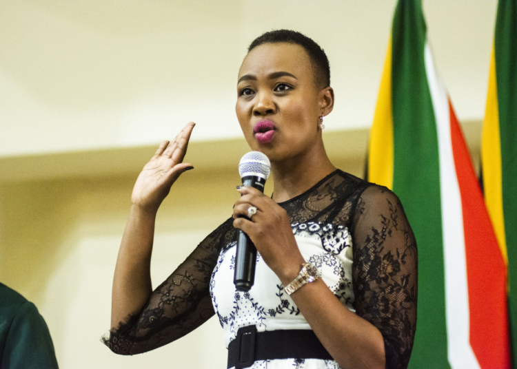South Africa: small business department reminds entrepreneurs to apply for BISP