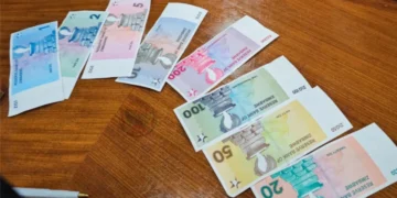 Zimbabwe:RBZ aims to end multi-currency system by 2030