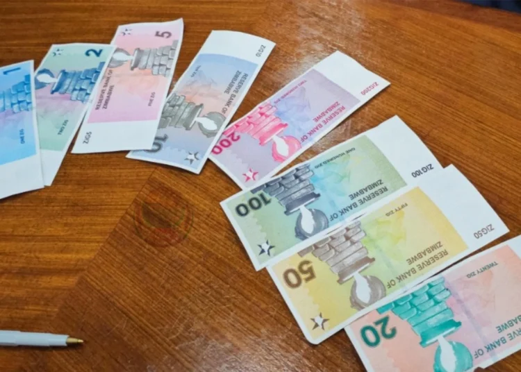 Zimbabwe:RBZ aims to end multi-currency system by 2030