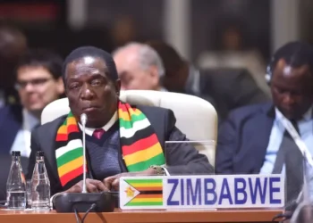 IMF forecasts 6% economic rebound for Zimbabwe in 2025