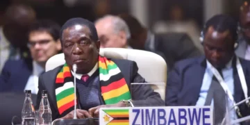 IMF forecasts 6% economic rebound for Zimbabwe in 2025
