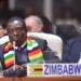 IMF forecasts 6% economic rebound for Zimbabwe in 2025