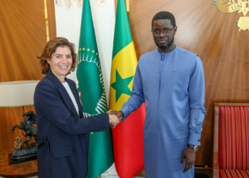 President Faye meets Orange CEO to boost Senegal’s digital landscape