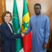 President Faye meets Orange CEO to boost Senegal’s digital landscape