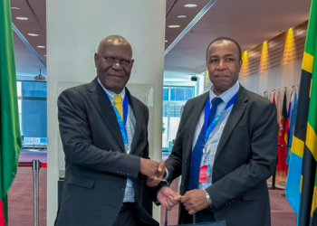Tanzania, Zambia strengthen aviation partnership