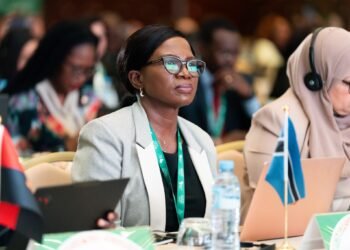 Makgolo calls for stronger taxpayer data protection across Africa